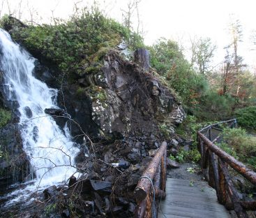 Water Garden Bridge Repairs  (2)