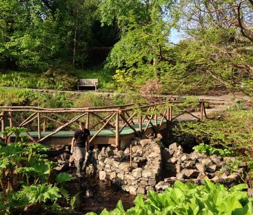 Water Garden Bridge Repairs  (5)
