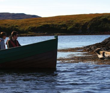 seal-boat