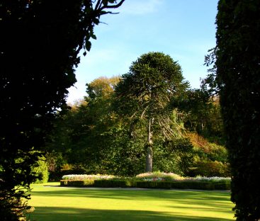 Dunvegan Castle Library Pics (58)