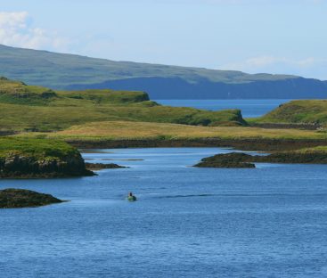 Dunvegan Castle Library Pics (77)