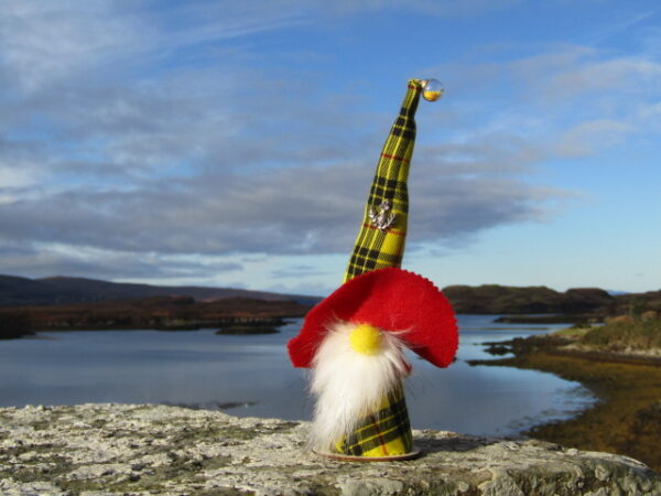 MacLeod of Lewis tartan gonk